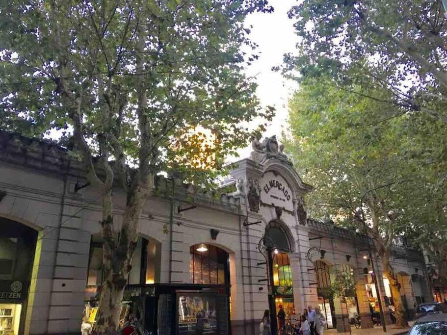 Apartment New In Recoleta